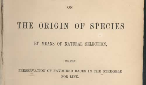Cover of "On The Origine of Species"