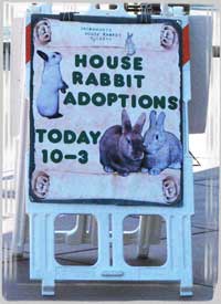 Adoption sign